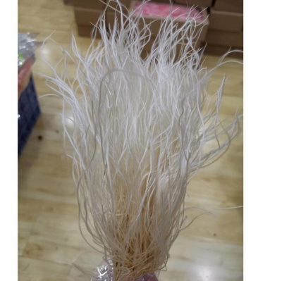 Feather grass flowers-03