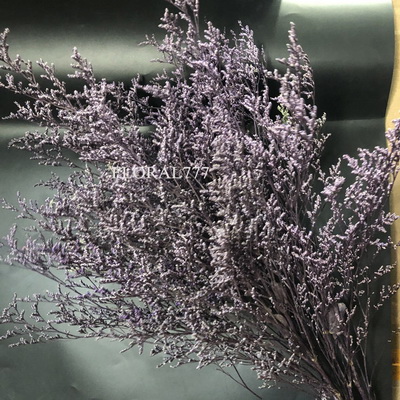 Preserved Limonium Grass-04