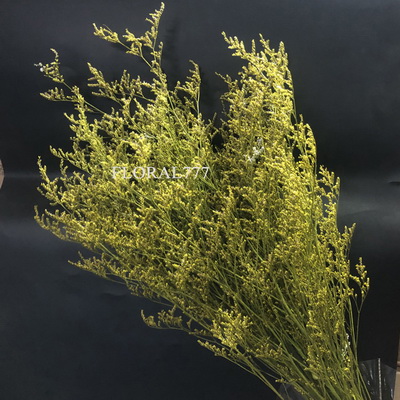 Preserved Limonium Grass-06