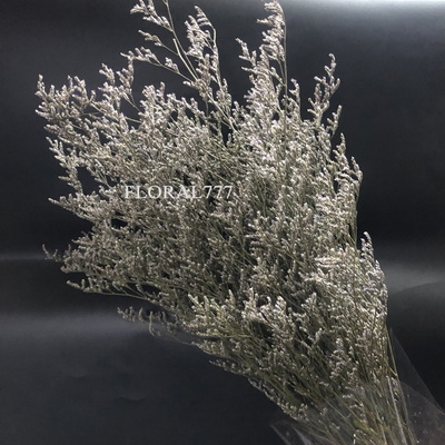 Preserved Limonium Grass-05