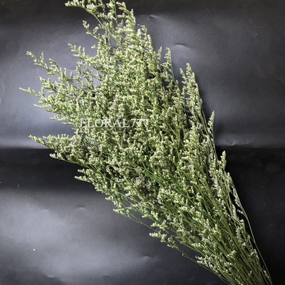 Preserved Limonium Grass-02