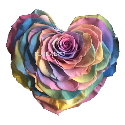 9-10CM Two-tone Preserved Rose head-21