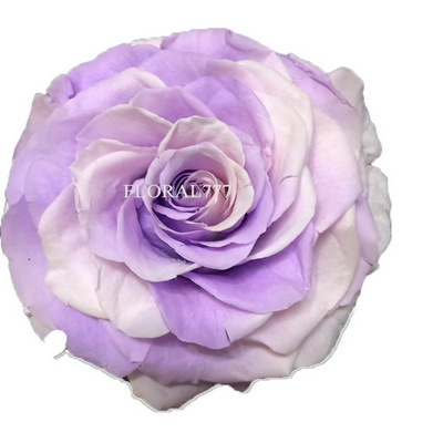 9-10CM Two-tone Preserved Rose head-24