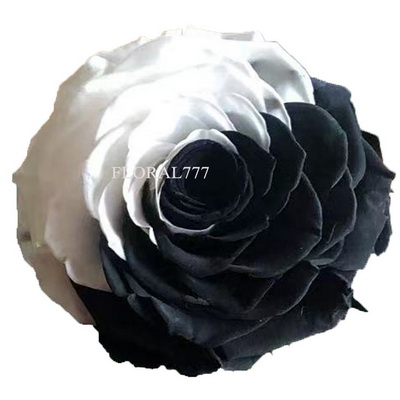 9-10CM Two-tone Preserved Rose head-33