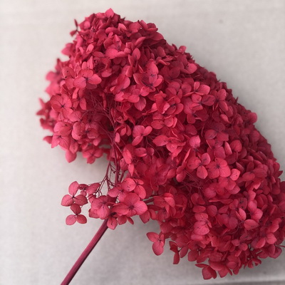 Preserved Hydrangea With Stem-008