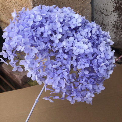 Preserved Hydrangea With Stem-018