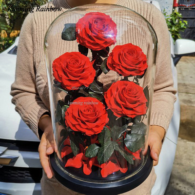 Five-5 Preserved Rose In Glass Dome-Red Color