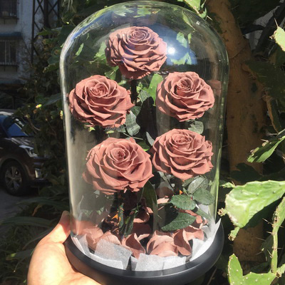 Five-5 Preserved Rose In Glass Dome-Dark Kaqi Color