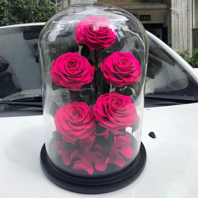 Five-5 Preserved Rose In Glass Dome-Rosy Color