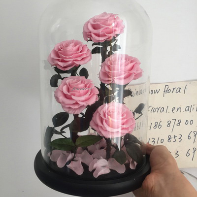 Five-5 Preserved Rose In Glass Dome-Pink Color