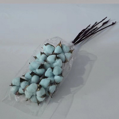 Cotton Flower-10 Stems light blue