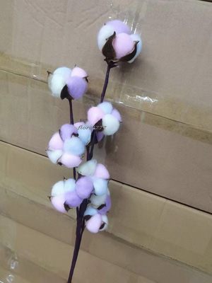 Cotton Flower-Rainbow Color