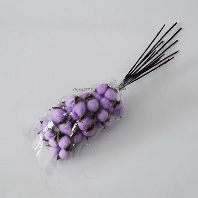 Cotton Flower-10 Stems Purple