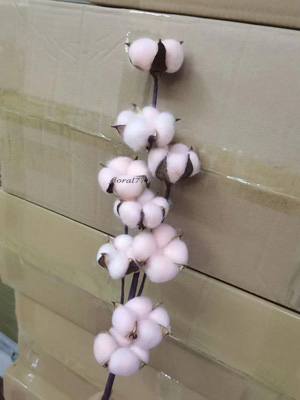 Cotton Flower-Long stem Pink
