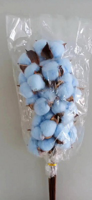 Cotton Flower-10 Stems Light Blue