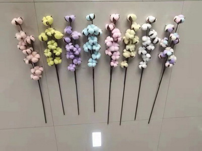 Cotton Flower-Long stem Purple color