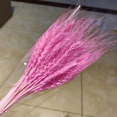 Dried Wheat Flower-01