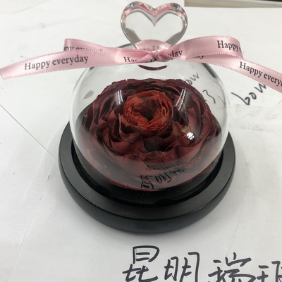 Preserved Peony Flowers in Glass Dome-04