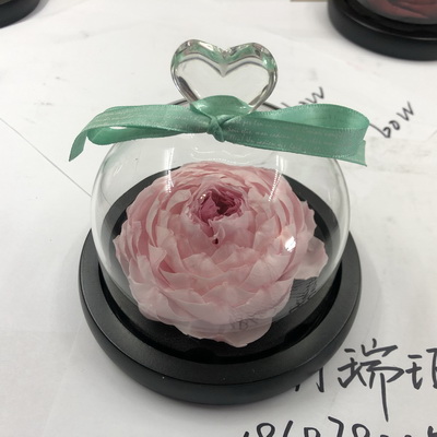 Preserved Peony Flowers in Glass Dome-03