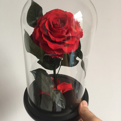 Preserved Rose in glass-01