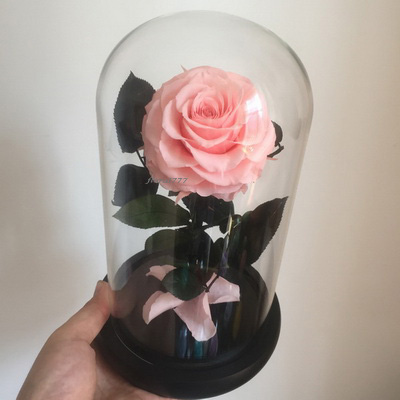 Preserved Rose in glass-08