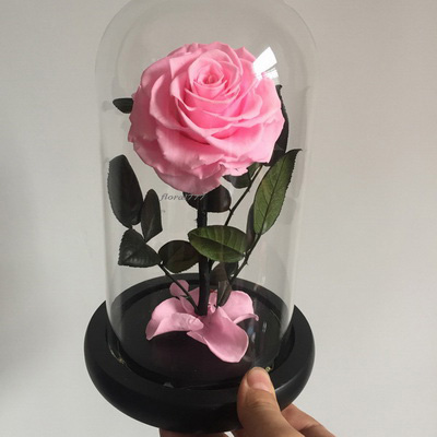 Preserved Rose in glass-07