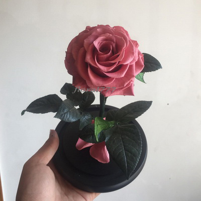 Preserved Rose in glass-10