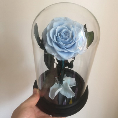 Preserved Rose in glass-11