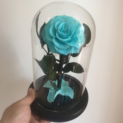 Preserved Rose in glass-13