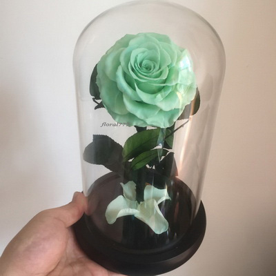 Preserved Rose in glass-14