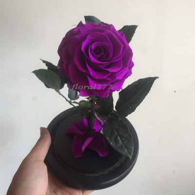 Preserved Rose in glass-16