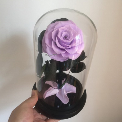 Preserved Rose in glass-15