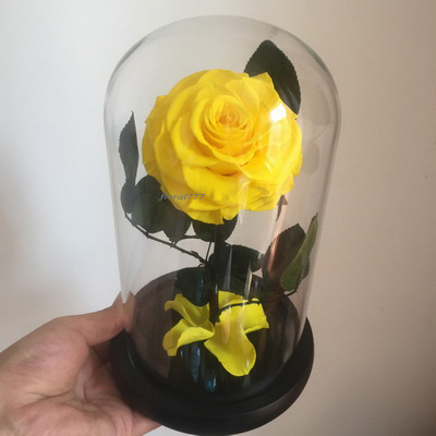 Preserved Rose in glass-19