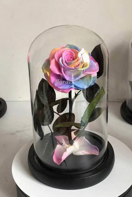 Preserved Rose in glass-22