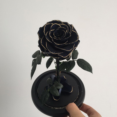 Preserved Rose in glass-26