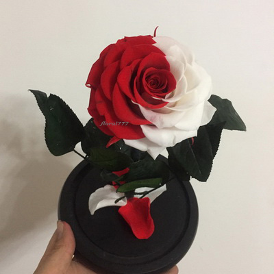 Preserved Rose in glass-28