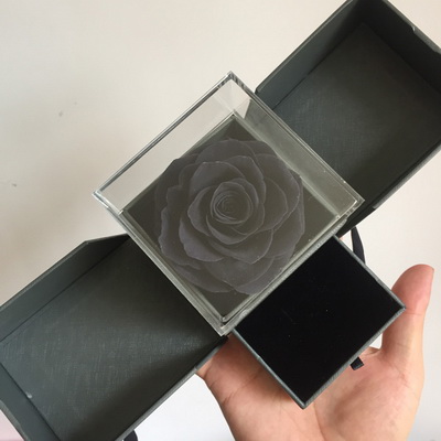 Rose In Acrylic box-04