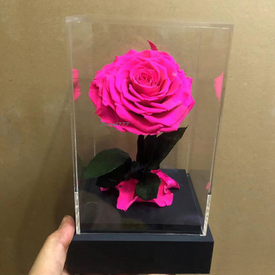 Preserved Rose With Stem In Acrylic box-04