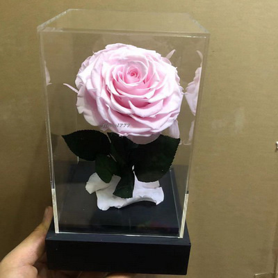Preserved Rose With Stem In Acrylic box-03