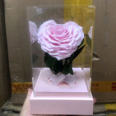 Preserved Rose With Stem In Acrylic box-10