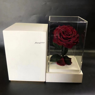 Preserved Rose With Stem In Acrylic box-09