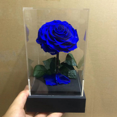 Preserved Rose With Stem In Acrylic box-05