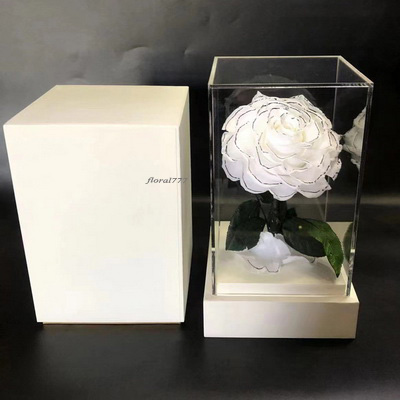 Preserved Rose With Stem In Acrylic box-08