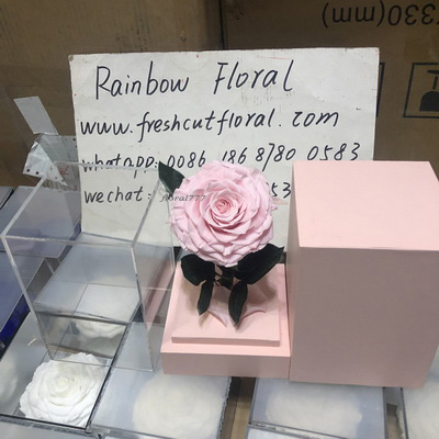 Preserved Rose With Stem In Acrylic box-13