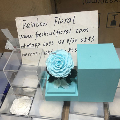 Preserved Rose With Stem In Acrylic box-12