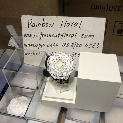 Preserved Rose With Stem In Acrylic box-14