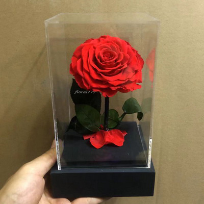 Preserved Rose With Stem In Acrylic box-16