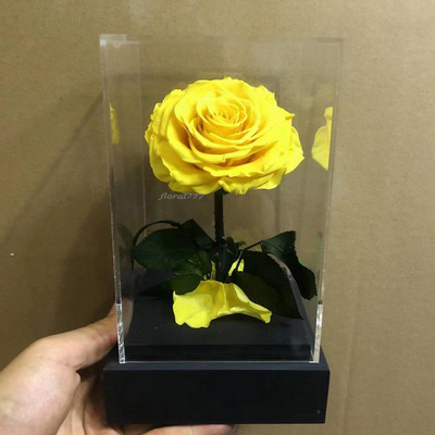 Preserved Rose With Stem In Acrylic box-15
