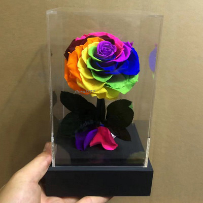 Preserved Rose With Stem In Acrylic box-18