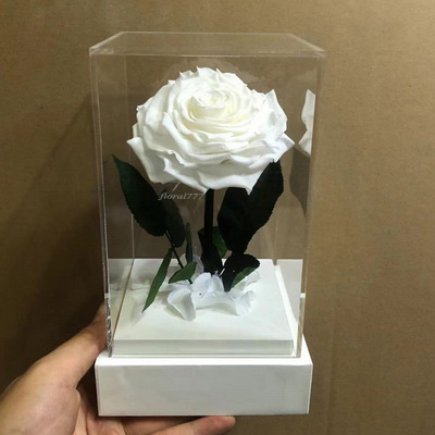 Preserved Rose With Stem In Acrylic box-17